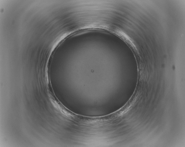 X0000075380892200609291548