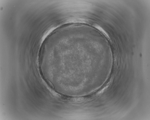 X0000075380893200609291548