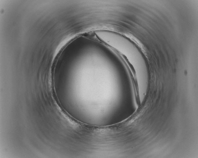 X0000075380894200609291548