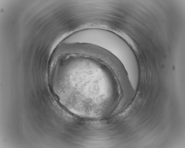 X0000075380896200609291548