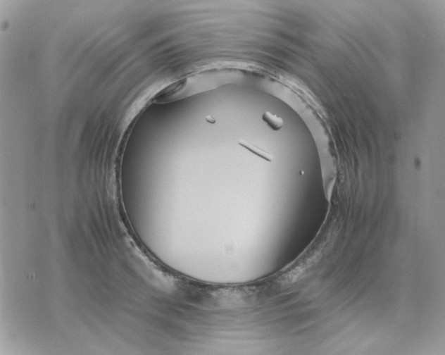 X0000075380898200609291548