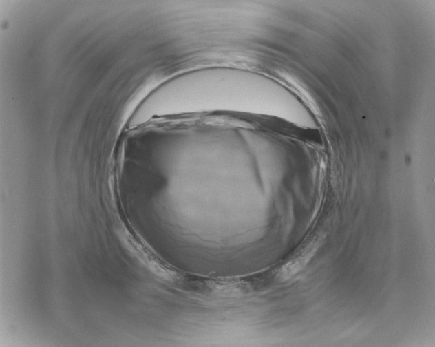 X0000075380899200609291548