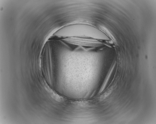 X0000075380900200609291548