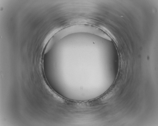 X0000075380901200609291548