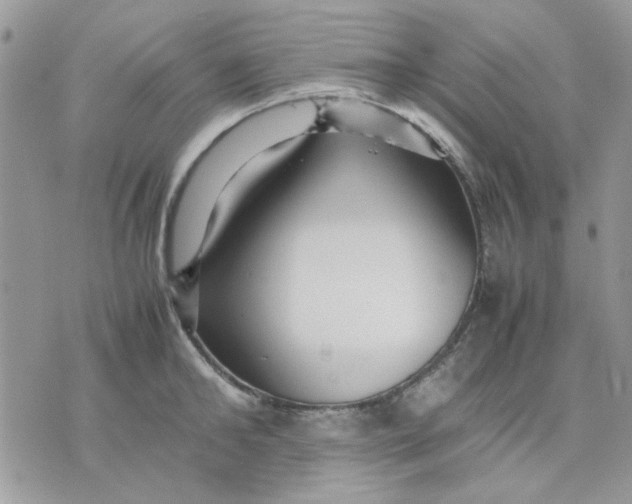 X0000075380902200609291548