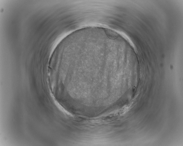 X0000075380903200609291548