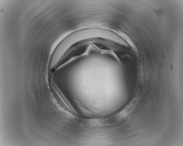 X0000075380904200609291548