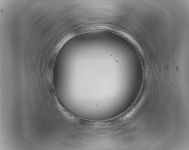 X0000075380905200609291548