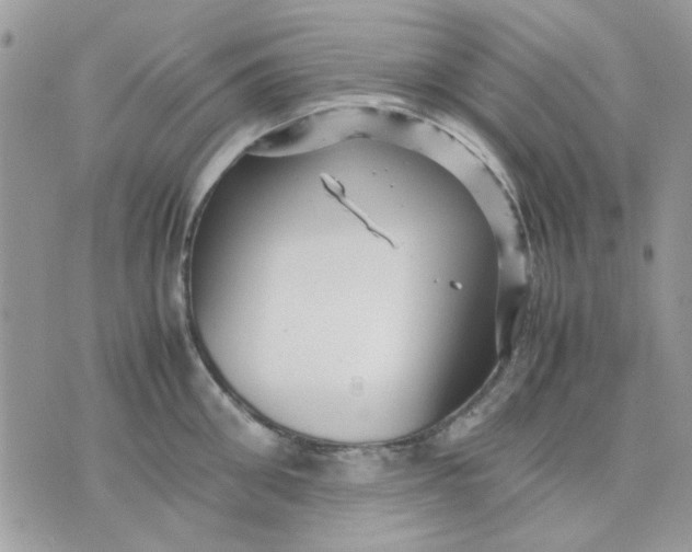 X0000075380906200609291548