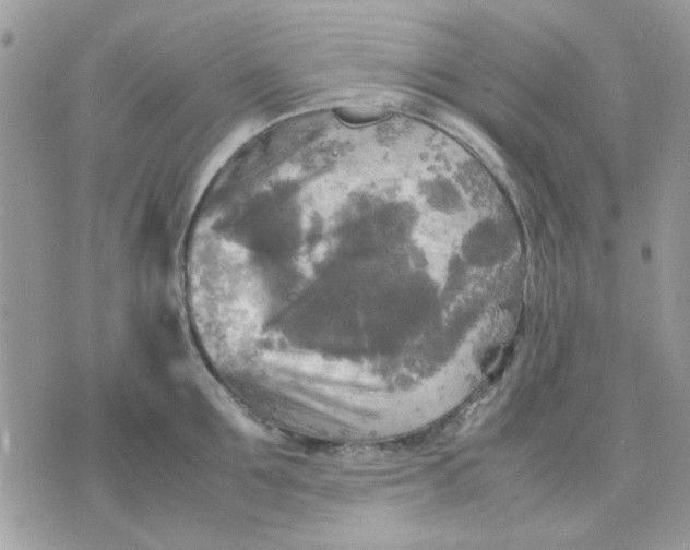 X0000075380907200609291548