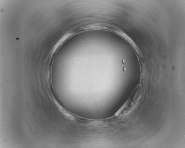 X0000075380909200609291548