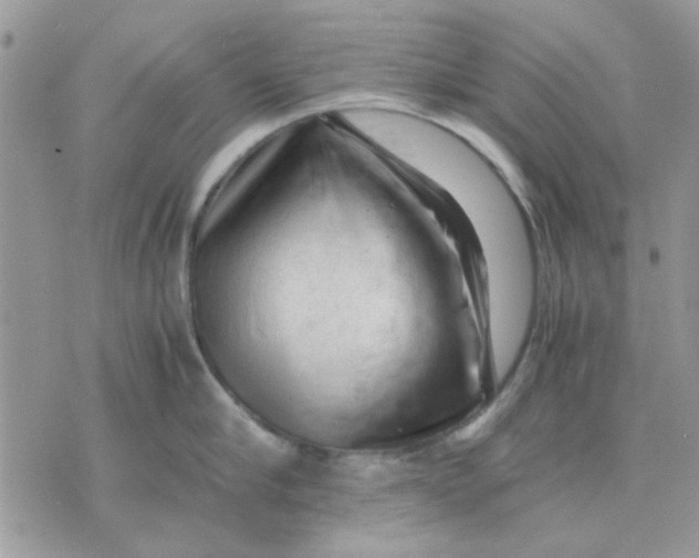 X0000075380910200609291548