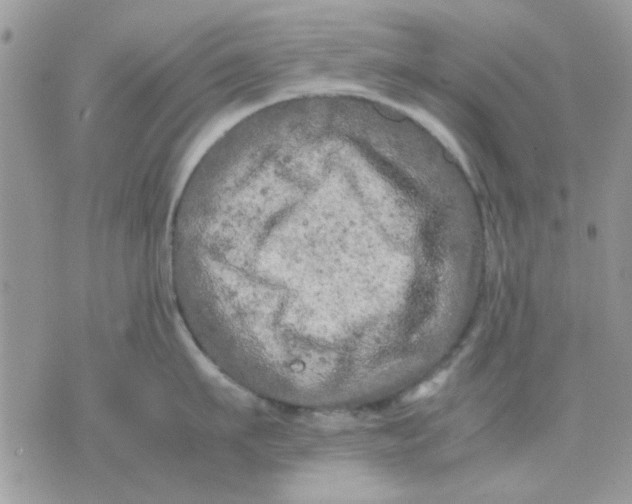 X0000075380911200609291548