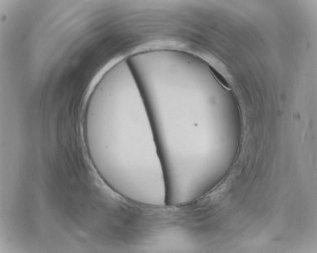 X0000075380912200609291548