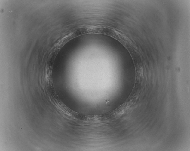 X0000075380914200609291547