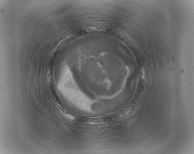 X0000075380915200609291547