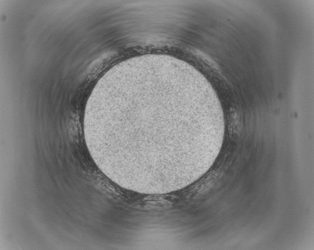 X0000075380918200609291547