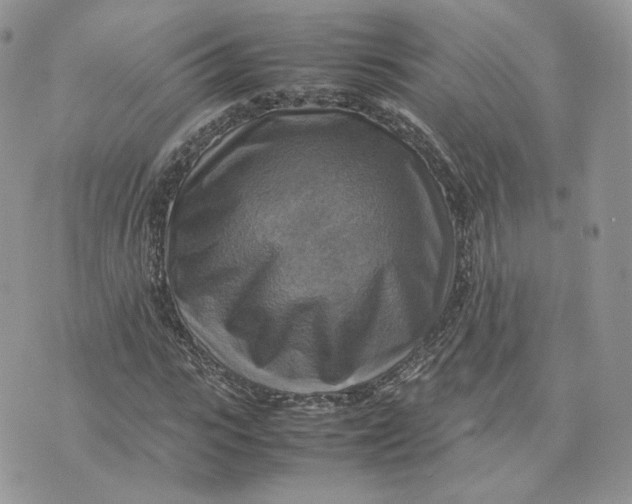 X0000075380919200609291547