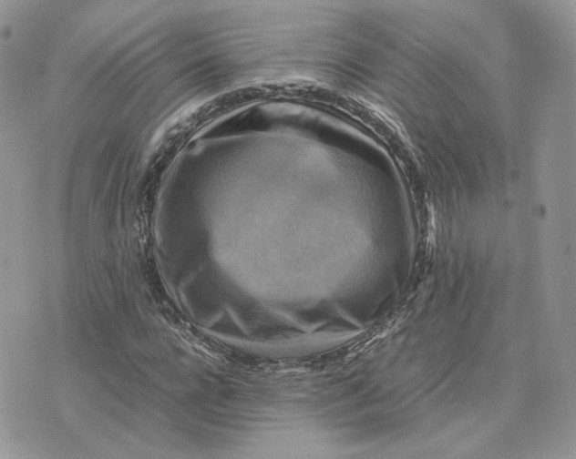 X0000075380920200609291547