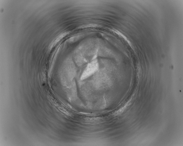 X0000075380921200609291547