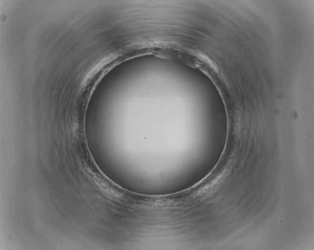 X0000075380922200609291547