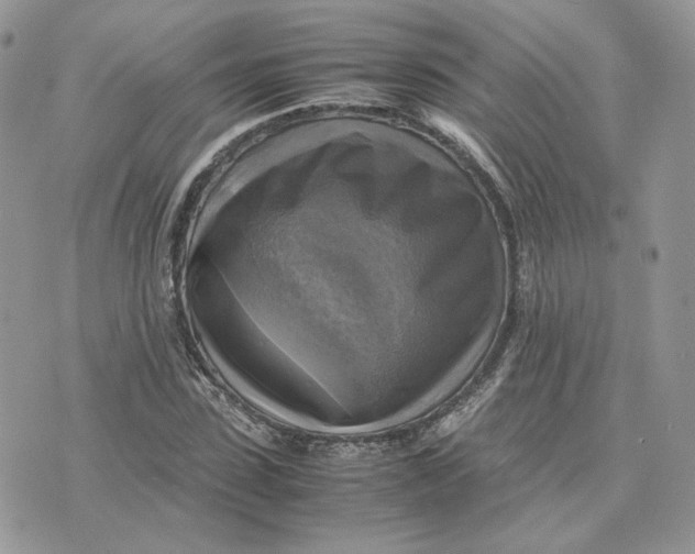 X0000075380923200609291547