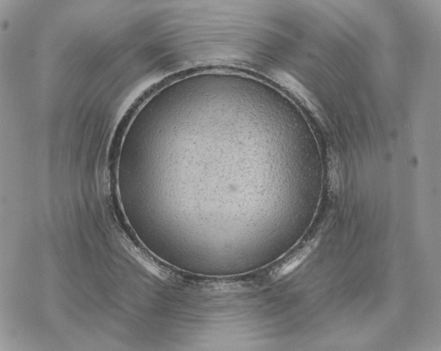 X0000075380924200609291547