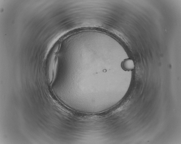 X0000075380926200609291547