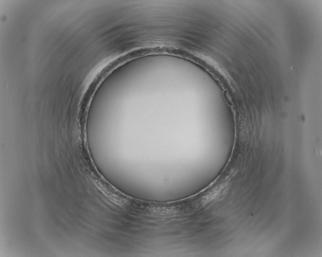 X0000075380927200609291547