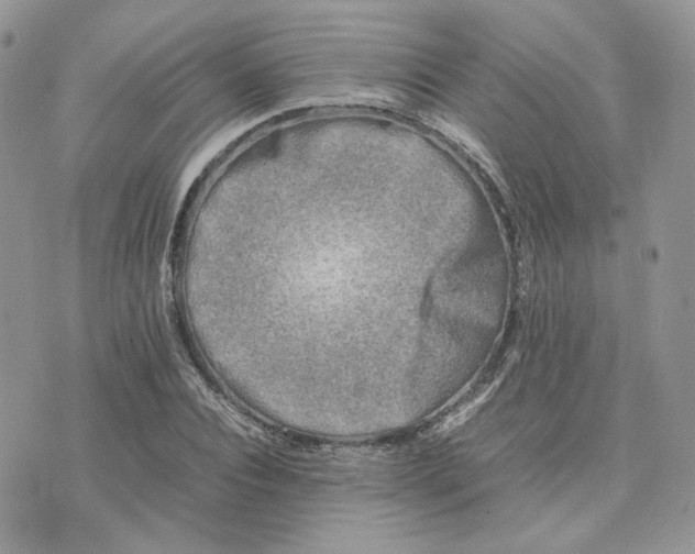 X0000075380928200609291547