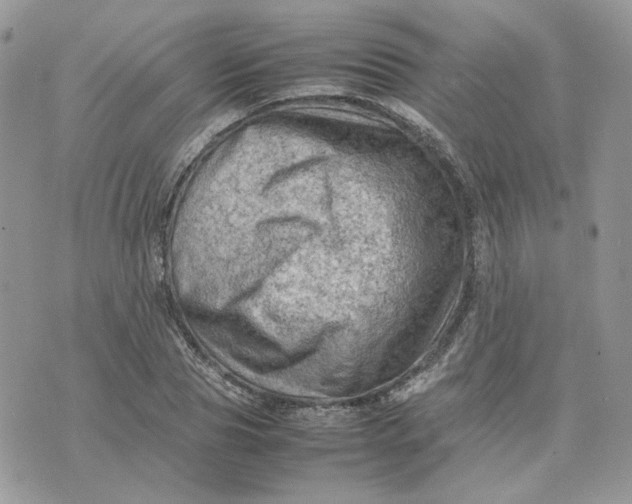 X0000075380929200609291547