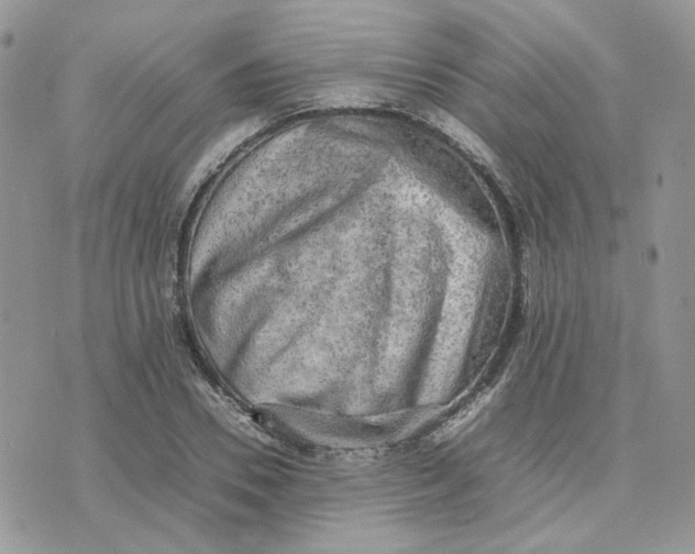 X0000075380930200609291547