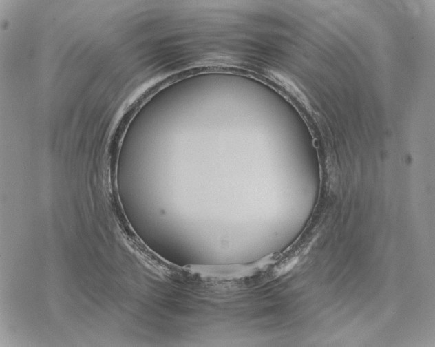 X0000075380931200609291547