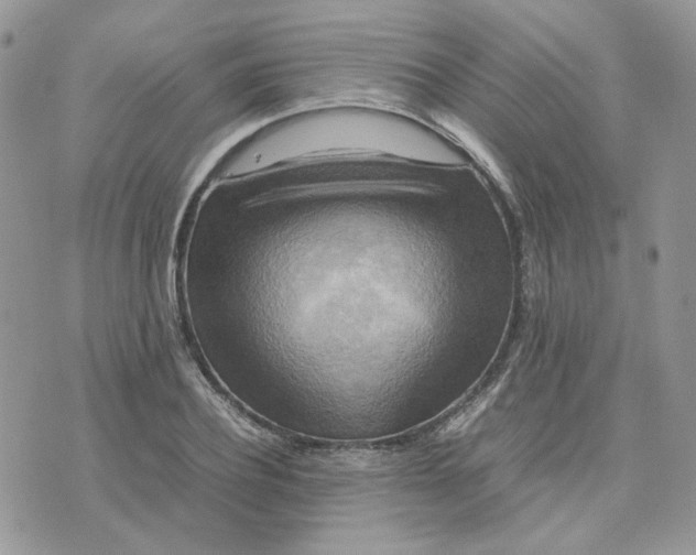 X0000075380932200609291547