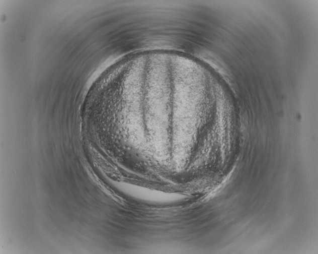 X0000075380933200609291547