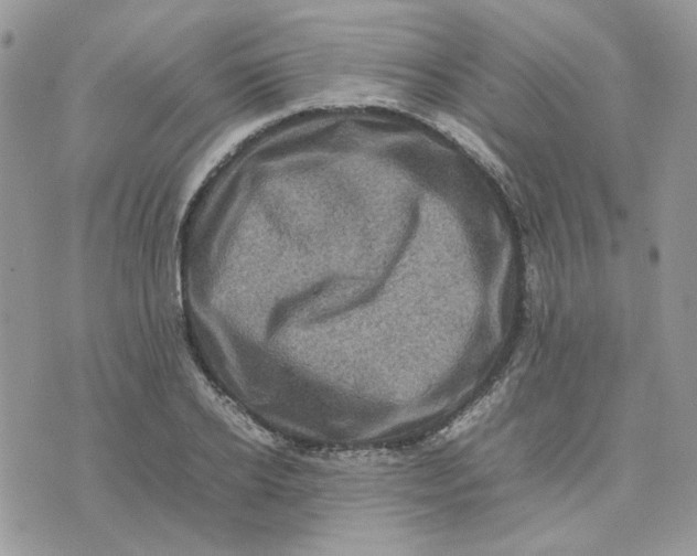 X0000075380934200609291547