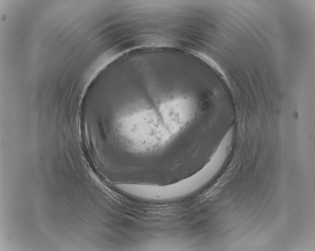 X0000075380935200609291547