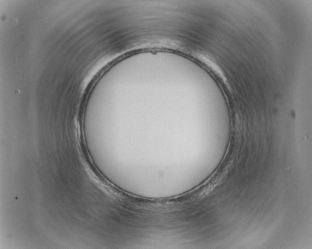 X0000075380936200609291547