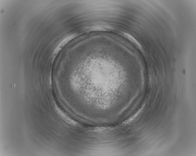 X0000075380938200609291547