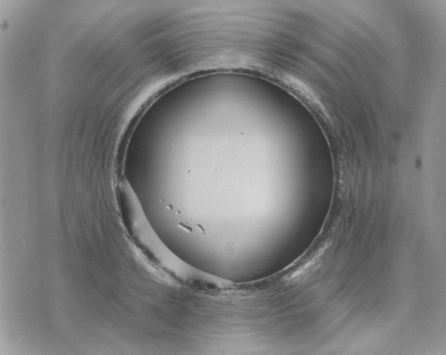 X0000075380942200609291547