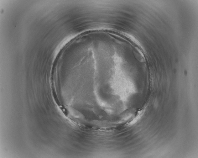 X0000075380943200609291547