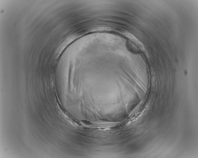 X0000075380945200609291547