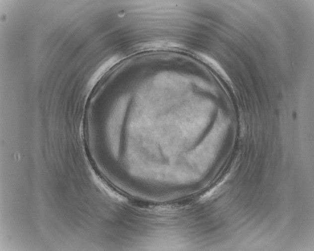 X0000075380946200609291547