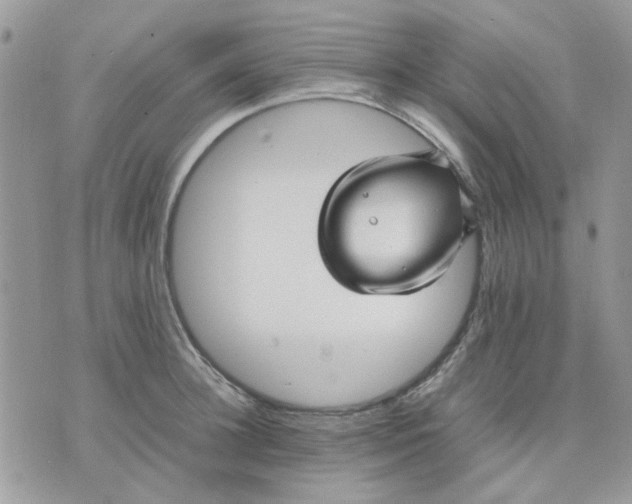 X0000075380948200609291547