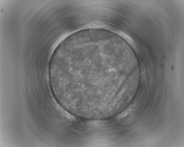 X0000075380950200609291547