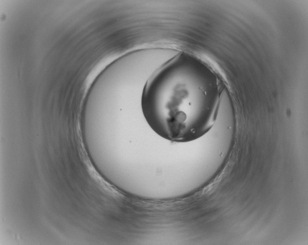 X0000075380952200609291547