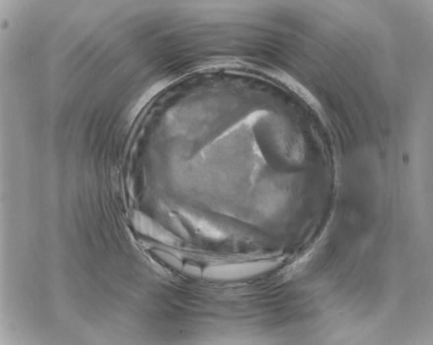 X0000075380953200609291547