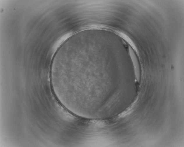 X0000075380954200609291547