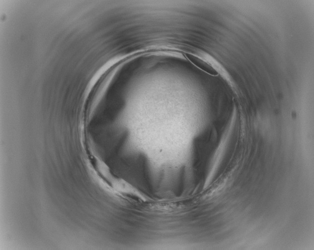 X0000075380955200609291547