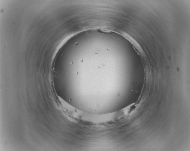 X0000075380956200609291548